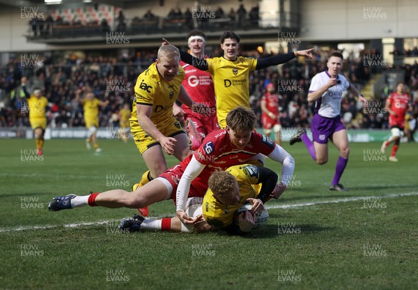 010126 - Dragons RFC v Scarlets - United Rugby Championship - David Richards of Dragons dives over the line to score a try