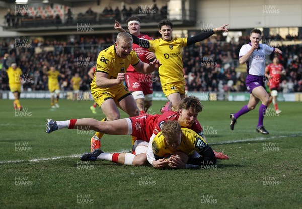 010126 - Dragons RFC v Scarlets - United Rugby Championship - David Richards of Dragons dives over the line to score a try