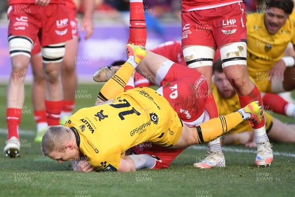 010126 - Dragons RFC v Scarlets - United Rugby Championship - Tinus De Beer of Dragons dives in to scores the first try of the game