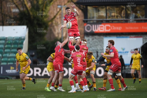010126 - Dragons RFC v Scarlets - United Rugby Championship - Max Douglas of Scarlets wins the line-out