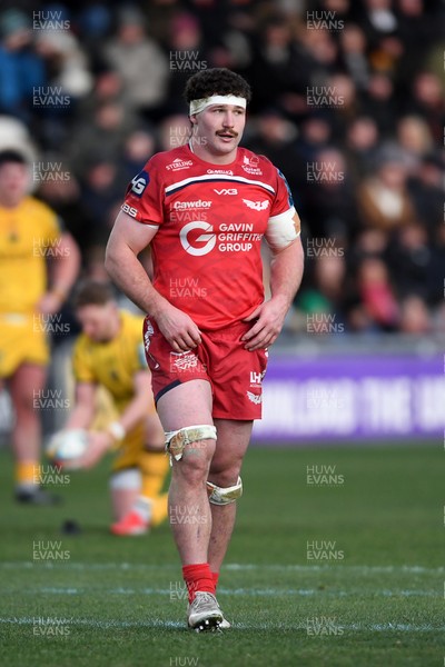 010126 - Dragons RFC v Scarlets - United Rugby Championship - Max Douglas of Scarlets