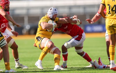 031026 Dragons RFC v Scarlets, BKT United Rugby Championship - Harri Keddie of Dragons RFC is held