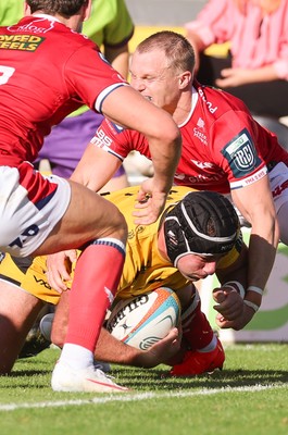 031026 Dragons RFC v Scarlets, BKT United Rugby Championship - Rodrigo Martinez of Dragons RFC powers over to score try