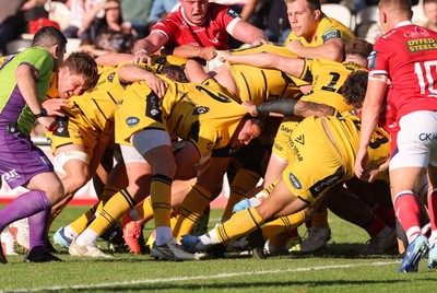 031026 Dragons RFC v Scarlets, BKT United Rugby Championship - Elliot Dee of Dragons RFC powers over to score try