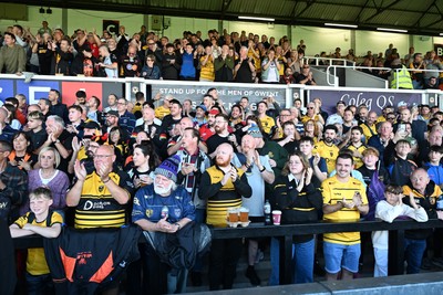031026 - Dragons RFC v Scarlets - United Rugby Championship - fans