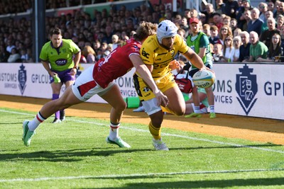 031026 - Dragons RFC v Scarlets - United Rugby Championship - Anzelo Tuitavuki of Dragons runs in to score a try