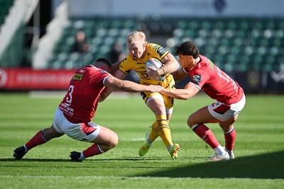031026 - Dragons RFC v Scarlets - United Rugby Championship - Tinus De Beer of Dragons is challenged by Harri O'Connor of Scarlets
