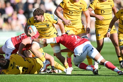031026 - Dragons RFC v Scarlets - United Rugby Championship - Thomas Young of Dragons is challenged by Dan Davis of Scarlets