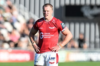031026 - Dragons RFC v Scarlets - United Rugby Championship - Blair Murray of Scarlets