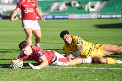 031026 - Dragons RFC v Scarlets - United Rugby Championship - Johnny Williams of Scarlets scores a try