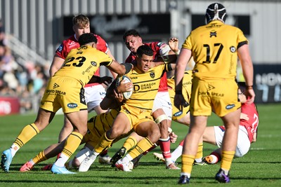 031026 - Dragons RFC v Scarlets - United Rugby Championship - Rio Dyer of Dragons