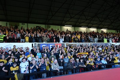 031026 - Dragons RFC v Scarlets - United Rugby Championship - Dragons fans celebrate the win at full time