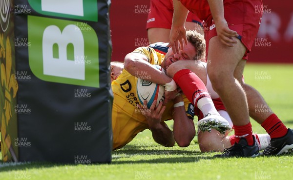 130925 - Dragons RFC v Scarlets - Pre Season Friendly - Angus O�Brien of Dragons scores a try