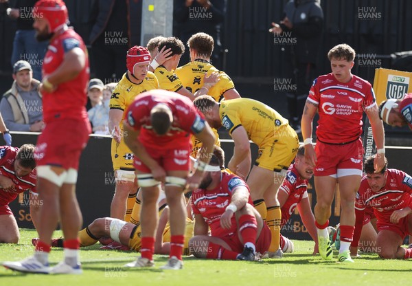130925 - Dragons RFC v Scarlets - Pre Season Friendly - Joe Westwood of Dragons celebrates scoring a try with team mates