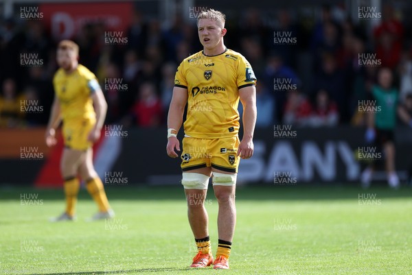 130925 - Dragons RFC v Scarlets - Pre Season Friendly - Harry Beddall of Dragons 