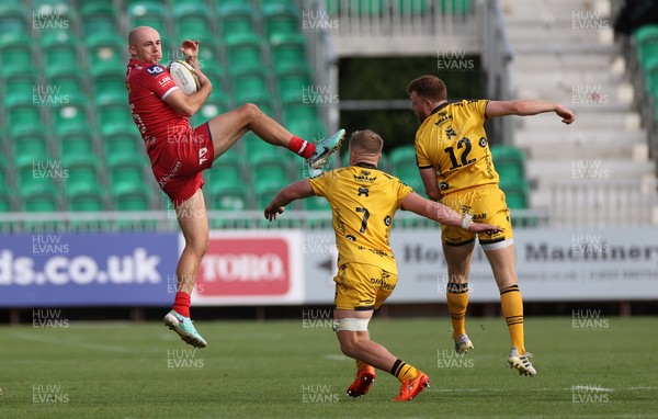 130925 - Dragons RFC v Scarlets - Pre Season Friendly - Ioan Nicholas of Scarlets 
