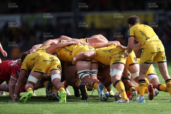 130925 - Dragons RFC v Scarlets - Pre Season Friendly - Scrum