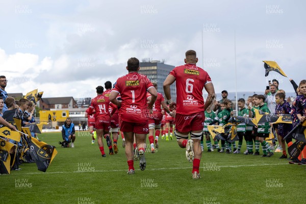 130925 - Dragons RFC v Scarlets - Preseason Friendly - Scarlets take to the field 