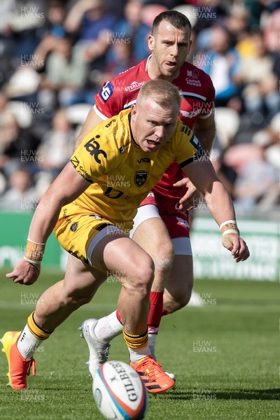 130925 - Dragons RFC v Scarlets - Preseason Friendly - Tinus De Beer of Dragons under pressure from Gareth Davies of Scarlets