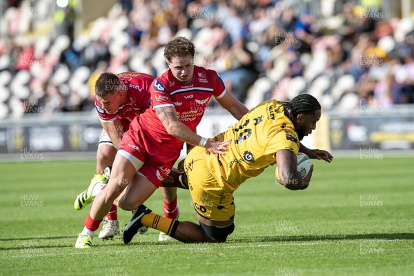 130925 - Dragons RFC v Scarlets - Preseason Friendly - Levi Douglas of Dragons is brought to ground by Macs Page of Scarlets
