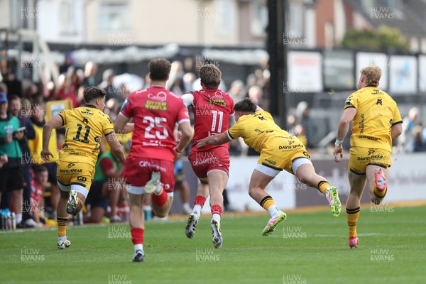130925 - Dragons RFC v Scarlets - Preseason Friendly - Ellis Mee of Scarlets races towards the Dragons line 