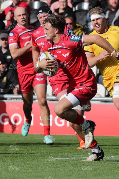 130925 - Dragons RFC v Scarlets - Preseason Friendly - Tomi Lewis of Scarlets runs out of defence 