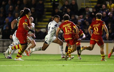 161026 - Dragons RFC v USA Perpignan - European Rugby Challenge Cup - Rio Dyer of Dragons 