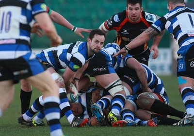 Dragons v Bath 110114