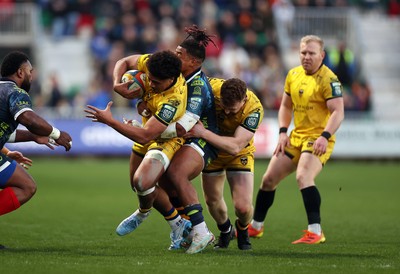280226 - Dragons RFC v Benetton Rugby - United Rugby Championship - Fine Inisi of Dragons is challenged by Paolo Odogwu of Benetton Rugby 