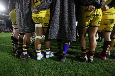 280226 - Dragons RFC v Benetton Rugby - United Rugby Championship - Origin socks