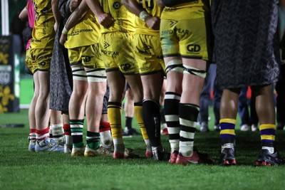 280226 - Dragons RFC v Benetton Rugby - United Rugby Championship - Origin socks