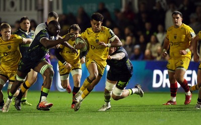 280226 - Dragons RFC v Benetton Rugby - United Rugby Championship - Rio Dyer of Dragons 