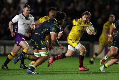 280226 - Dragons RFC v Benetton Rugby - United Rugby Championship - Rhodri Williams of Dragons 