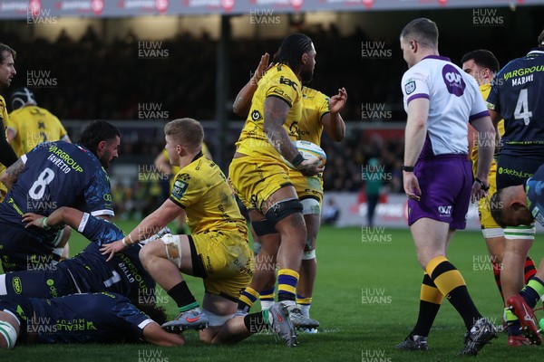 280226 - Dragons RFC v Benetton Rugby - United Rugby Championship - Levi Douglas of Dragons celebrates scoring a try