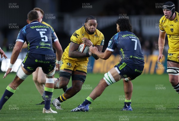 280226 - Dragons RFC v Benetton Rugby - United Rugby Championship - Levi Douglas of Dragons is challenged by Jadin Kingi of Benetton Rugby 