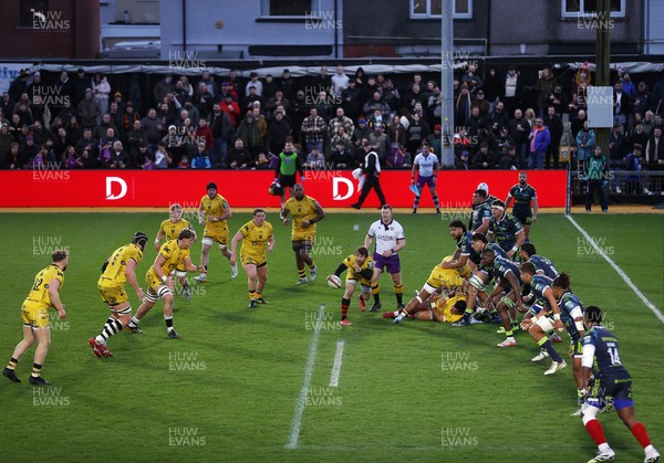 280226 - Dragons RFC v Benetton Rugby - United Rugby Championship - Rhodri Williams of Dragons 