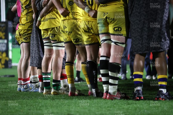 280226 - Dragons RFC v Benetton Rugby - United Rugby Championship - Origin socks