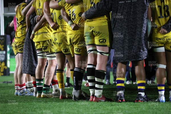 280226 - Dragons RFC v Benetton Rugby - United Rugby Championship - Origin socks