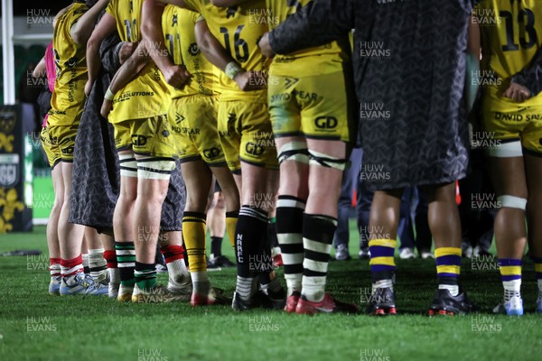 280226 - Dragons RFC v Benetton Rugby - United Rugby Championship - Origin socks