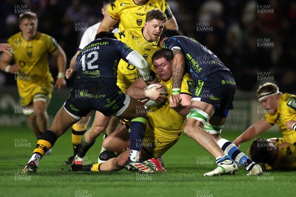 280226 - Dragons RFC v Benetton Rugby - United Rugby Championship - Brodie Coghlan of Dragons 