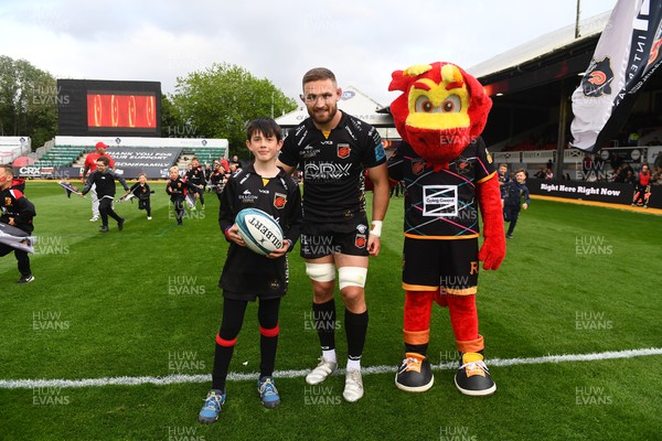 130522 - Dragons v Cardiff - United Rugby Championship - Rodney the Dragons, Harri Keddie of Dragons and mascot