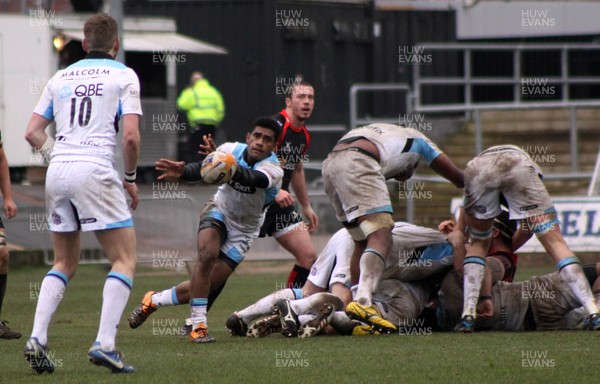 230214 - Newport Gwent Dragons v Glasgow Warriors - RaboDirect Pro 12 - Niko Matawaluof Glasgow Warriors passes the ball out of a ruck