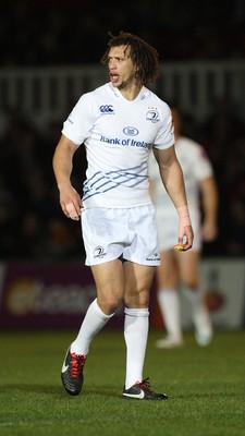 Dragons v Leinster 011113