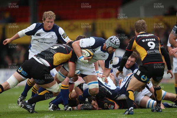 16.05.09 - Newport Gwent Dragons v Leinster, Magners League -  Leinster's Trevor Hogan is tackled by Dragons' Luke Charteris  