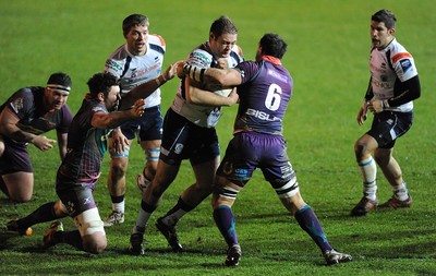 Dragons v Mogliano 161212