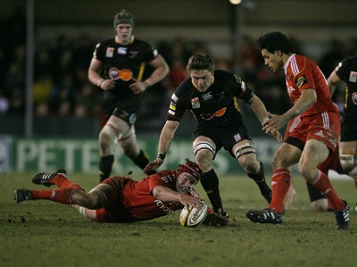 06.02.10 Dragons v Munster... Munster's Mick O'Driscoll tries to make the ball safe as Dragons' Lewis Evans closes in. 