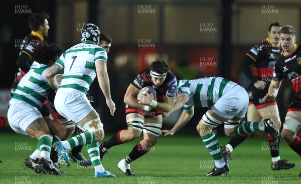 151217 - Dragons v Newcastle Falcons - European Rugby Challenge Cup - James Benjamin of Dragons looks for a way through
