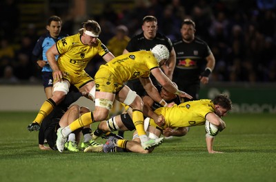 160126 - Dragons v Newcastle Red Bulls - European Rugby Challenge Cup - Thomas Young of Dragons 