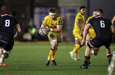 160126 - Dragons v Newcastle Red Bulls - European Rugby Challenge Cup - Aaron Wainwright of Dragons 