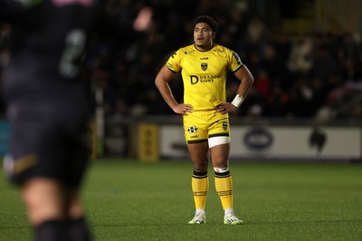 160126 - Dragons v Newcastle Red Bulls - European Rugby Challenge Cup - Fine Inisi of Dragons 